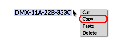 copy and paste example